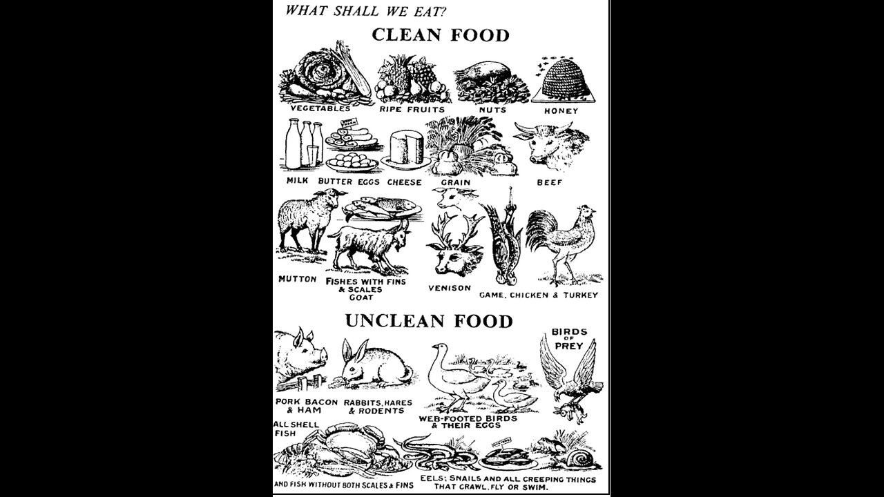 What is the Dietary Laws? (Leviticus 11)