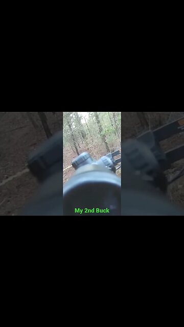 my 2nd Buck, 6 pointer