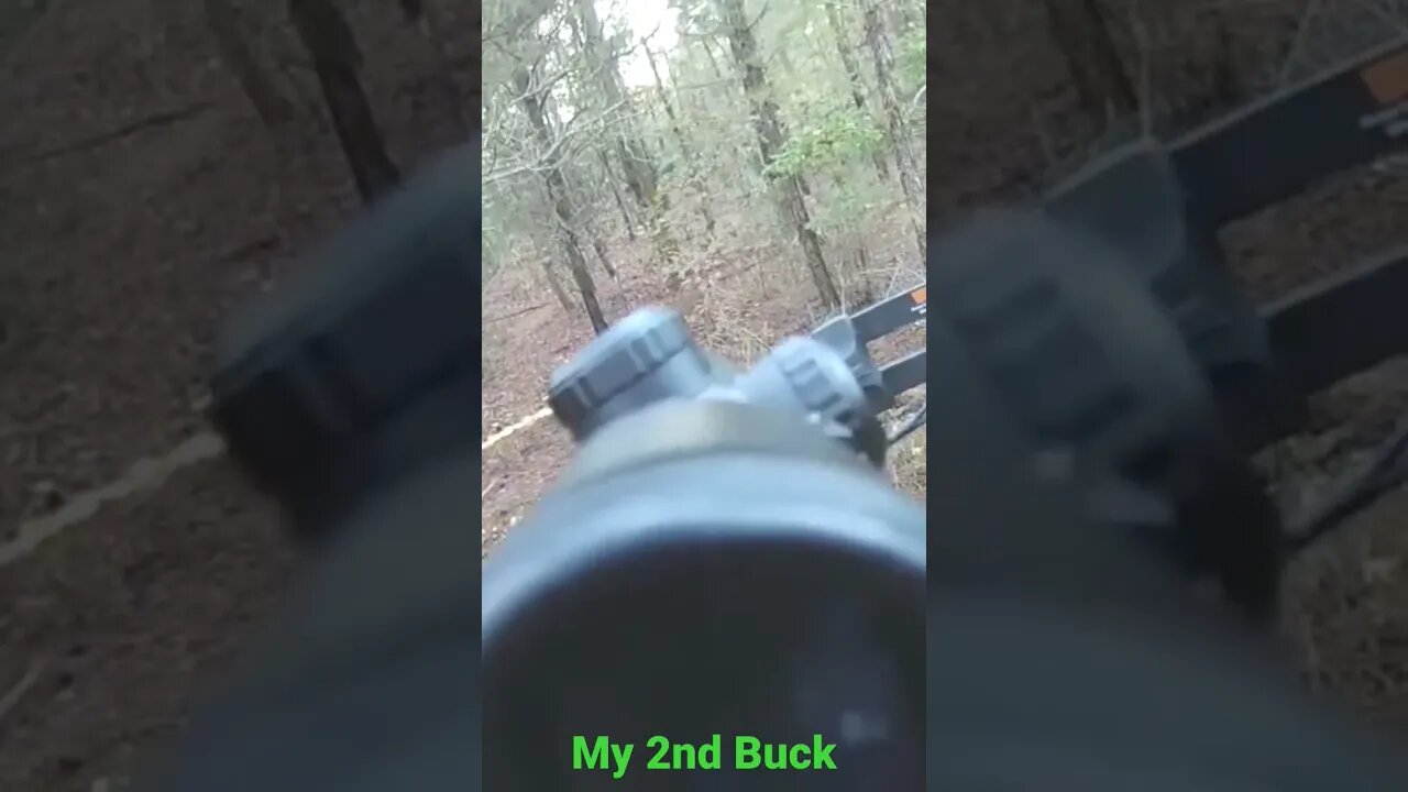 my 2nd Buck, 6 pointer