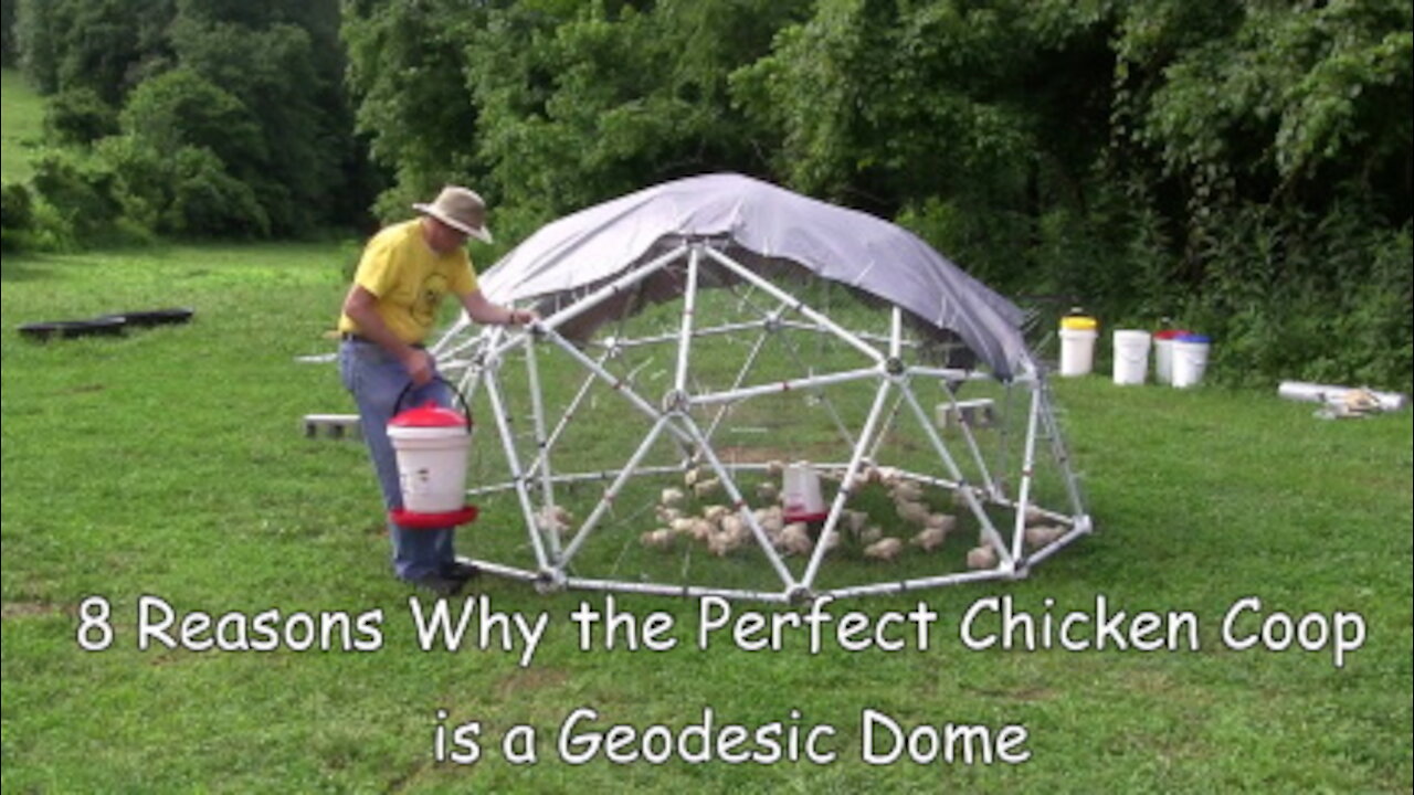 The Best Chicken Coop is a Geodesic Dome (8 Reasons)