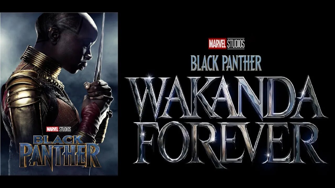 An OKOYE Spinoff? Black Panther 2 Producer Provides Update for Danai Gurira's Okoye Spin-Off