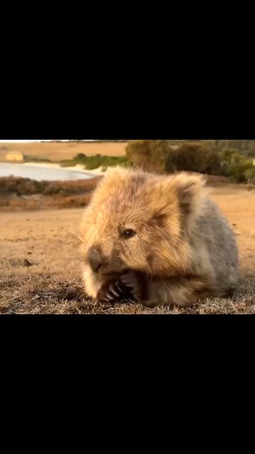 WALKING WITH GREATER CONFIDENCE - DAILY DEVOTIONAL ❤️