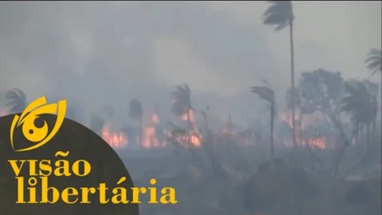 Você lembra que a Amazônia estava pegando fogo? | Visão Libertária