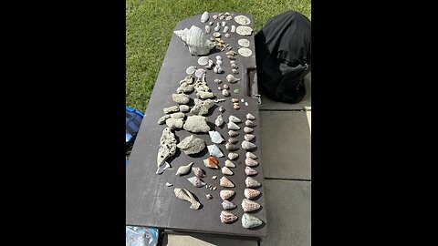 Beach Finds 10/19/2024 | 4K