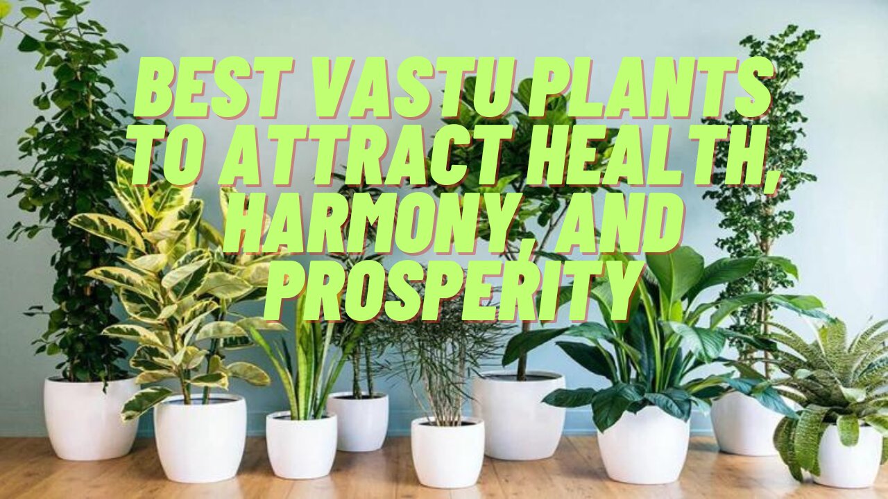 Best Vastu Plants to Attract Health, Harmony, and Prosperity