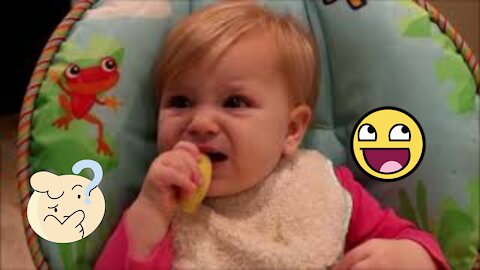 Funny Emotion When Babies First Eat Lemon