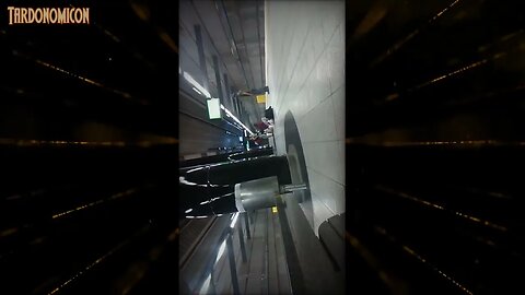 2022 02 28 10 down in the tunnels, doing what they do