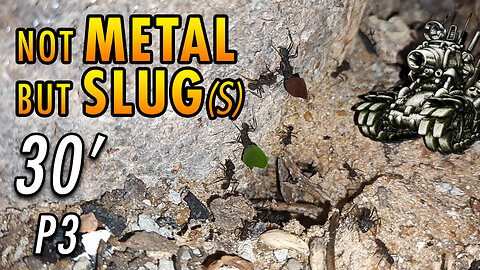 ASMR | Ants night meeting with friendly slimy visitors - 30' P3