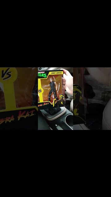 Ninja Turtles Vs Cobra Kai action figure set!