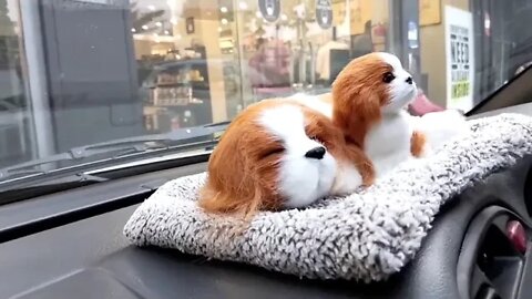 WHY.ARE.YOU.SO.CUTE??? #Puppy #Dogs #Shorts #Puppyvideo #Shortvideo #dog #doglover #cutedog #puppylo