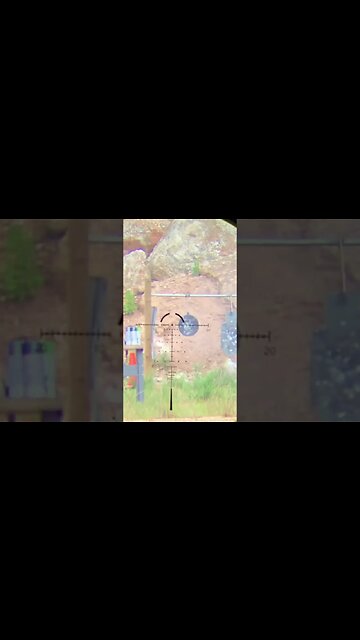 Athlon 1-10 Scope View