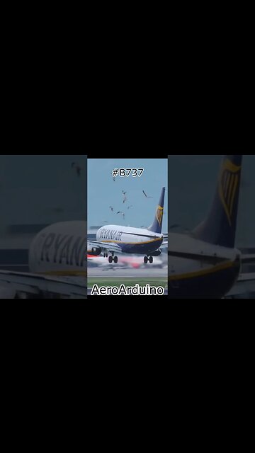 Ryanair #B737 Many Bird Strike Landing #Flying #Aviation #AeroArduino