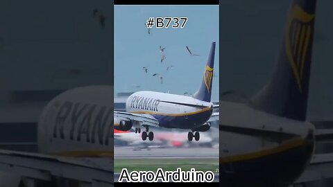 Ryanair #B737 Many Bird Strike Landing #Flying #Aviation #AeroArduino