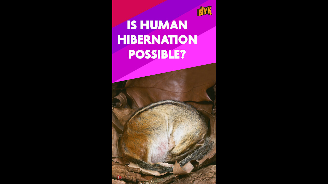 How Does Hibernation Works