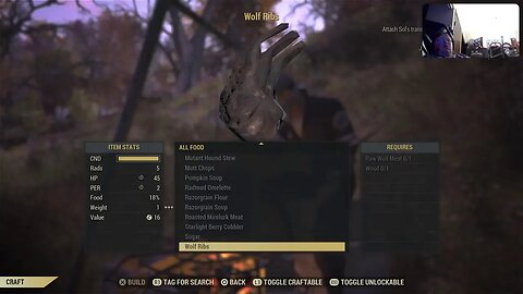 Mrmplayslive Fallout Free for all stream 23 Fallout 76