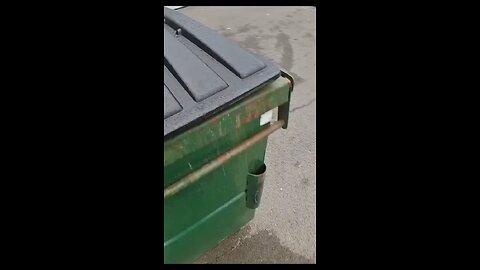 What he found in the dumpster