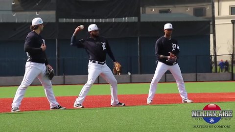 Welcome to Spring Training in Tampa Bay | Taste and See Tampa Bay