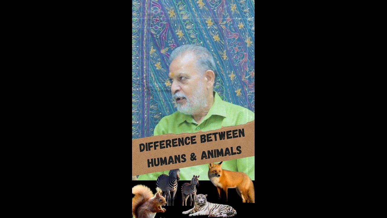 Difference between human and animal?