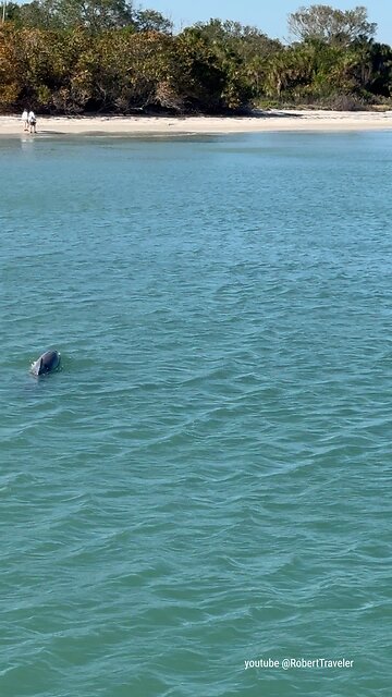 a wonderful family #florida #sunshineskywaybridge #bridge