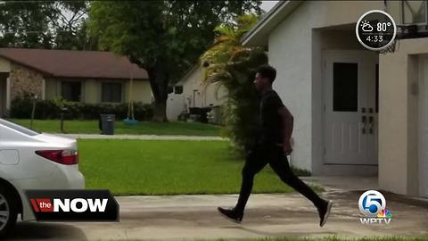 Mother said she watched on her phone as a group tried to break into her suburban Boca Raton home