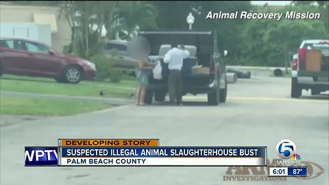 Three people arrested in connection with illegal slaughterhouse in Loxahatchee: Sheriff