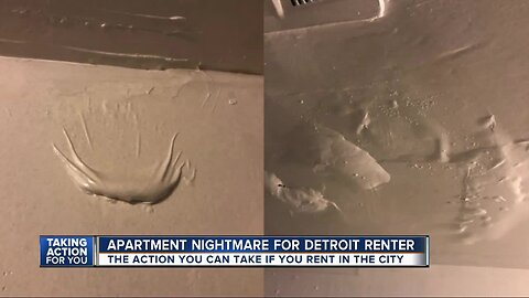 City of Detroit taking proactive approach to bring rental properties into code compliance