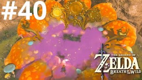 Another Fairy| The Legend of Zelda: Breath of the Wild #40