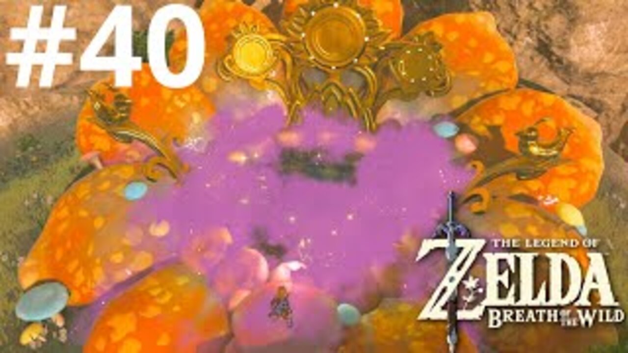 Another Fairy| The Legend of Zelda: Breath of the Wild #40