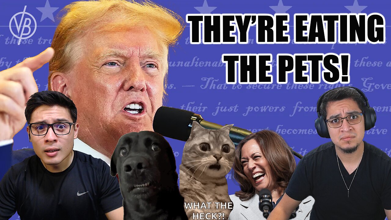 Why Did Trump Say That? | Vimata Brothers