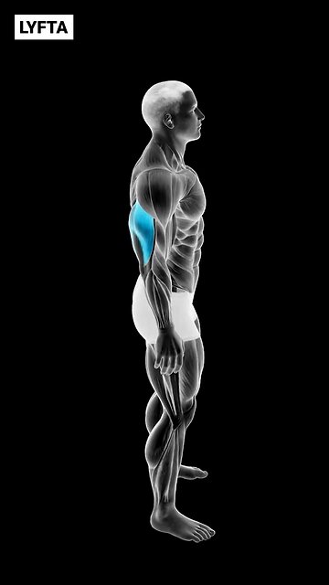 Lyfta Workout App 💪🏻🔥