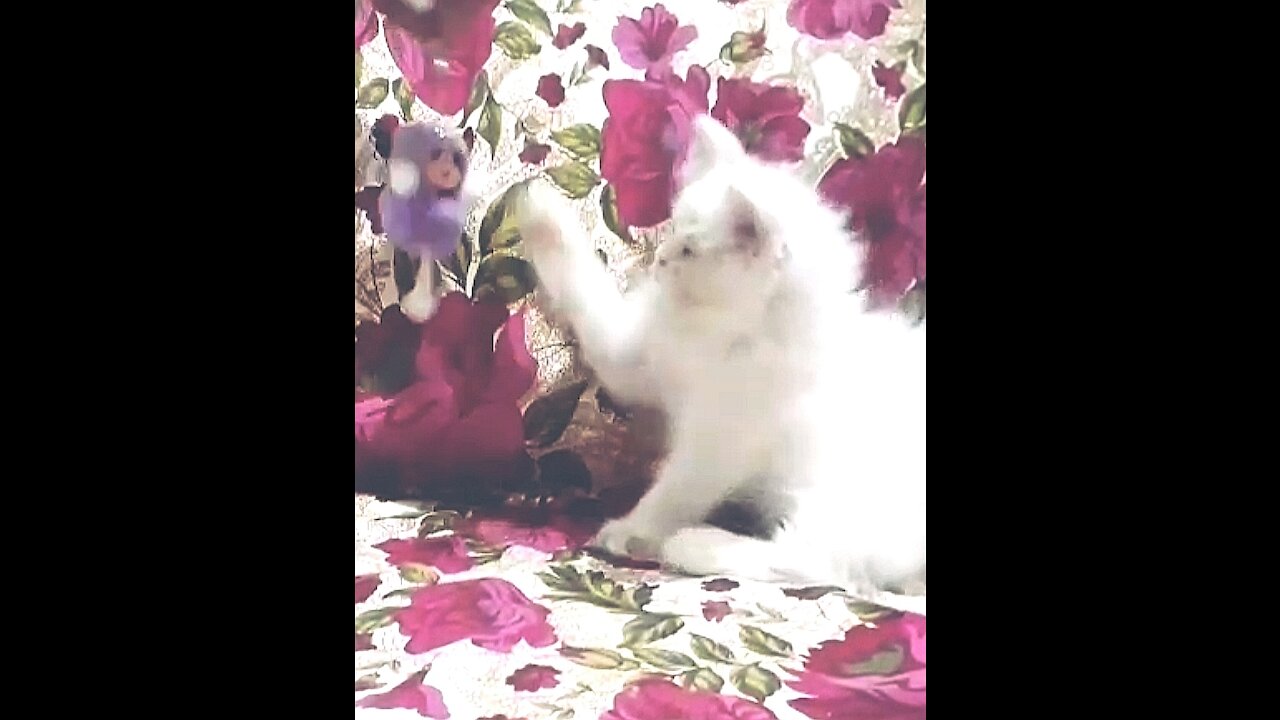 Gorgeous Kitten Playing With Doll Key Chain