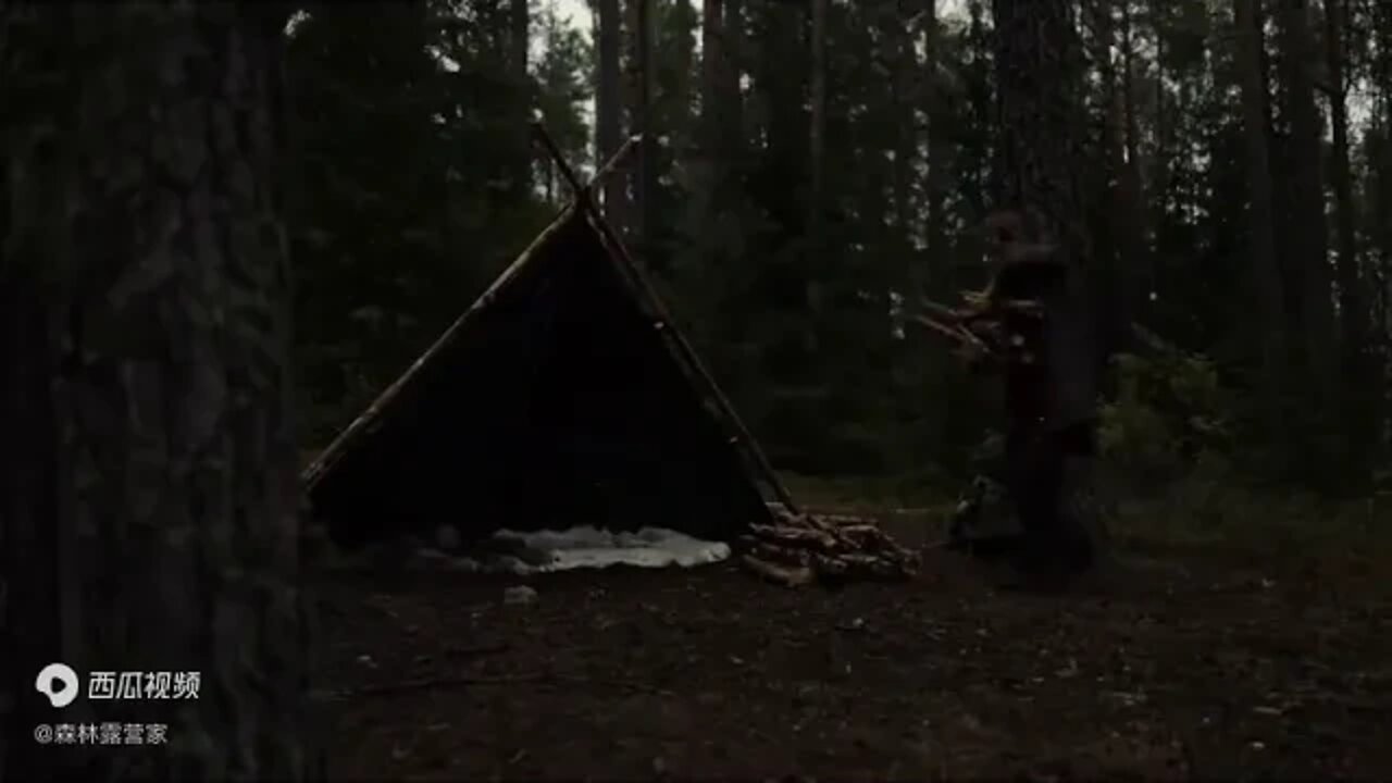 Camping in the wilderness at 20 degrees below zero, see how the Norwegian god gets rid of the fami