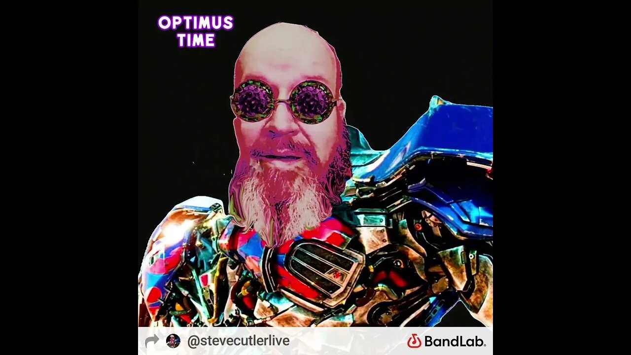 Bumper for the neighbors by Steve Cutler Live