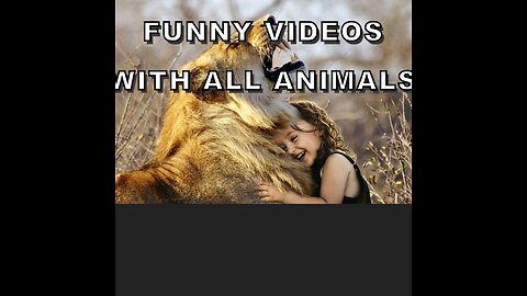 funny videos with all animals