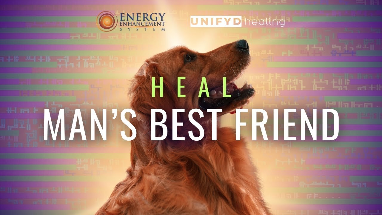 UNIFYD HEALING EESystem | HEAL: Man’s Best Friend