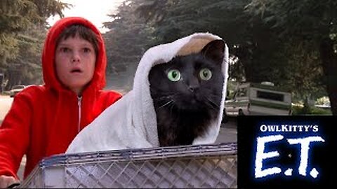 When you take your cat to the vet (E.T. + my cat OwlKitty)