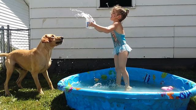 Pool Time Pup Loves Playtime