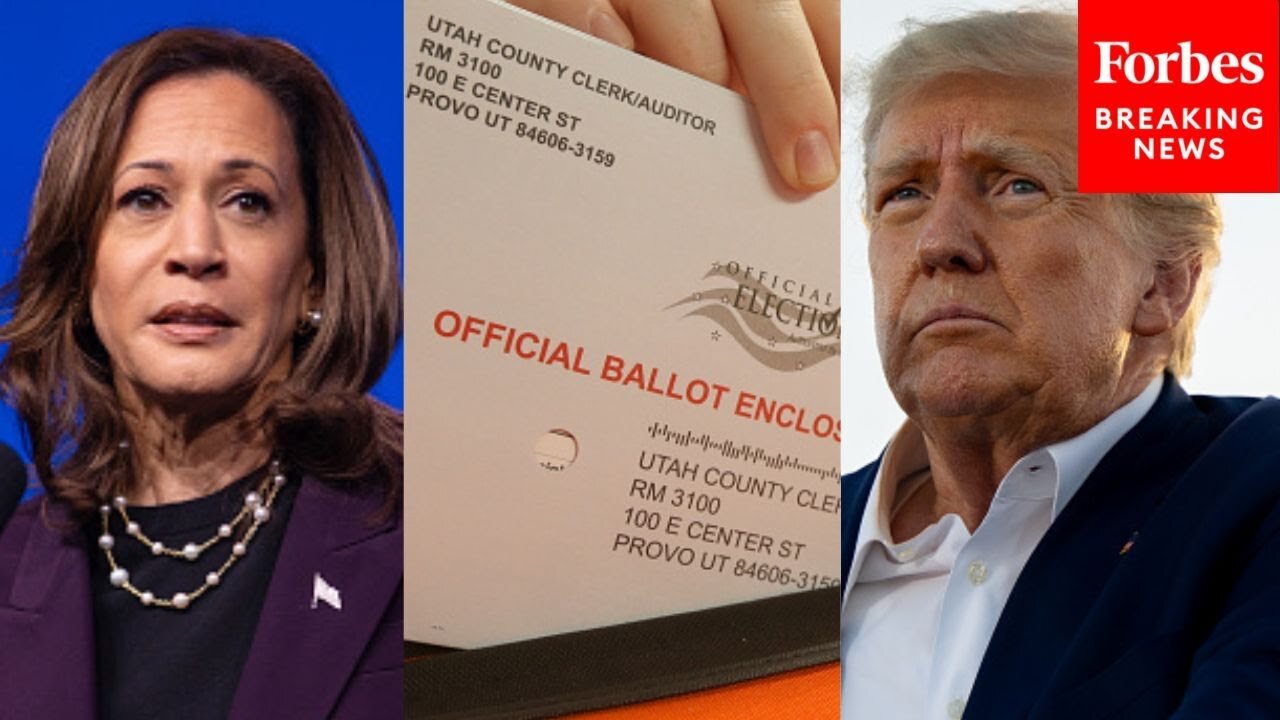 ‘Certainly A Bit Of Ticket Splitting’: Pollster Reveals Voters' Views On 2024 Down-Ballot Races