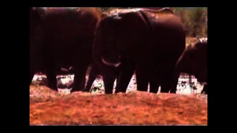 Kenya 2006