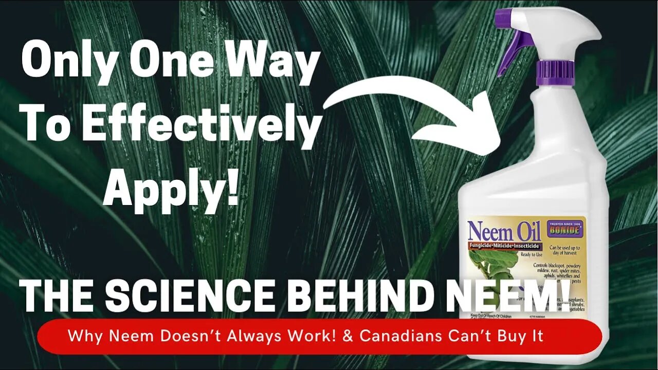 Why Neem Oil Doesn’t Always Work! The Science Of Neem Oil For Plants & Soil | Scientist Explains