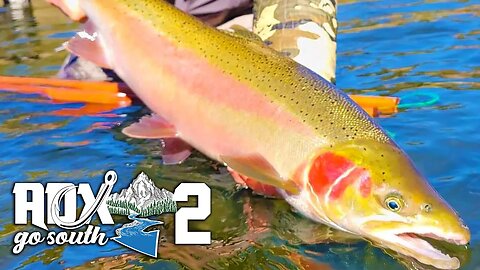 ADX Go South 2 - Steelhead Fishing Short Film