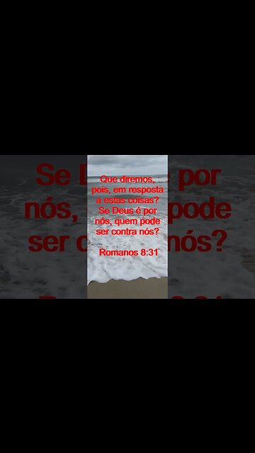 Verso Do Dia | Leitura Inspiradora Para Começar Seu Dia. | 35