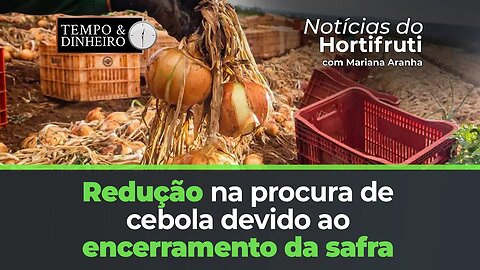 Encerramento da safra reduz procura pela cebola em Santa Catarina, preço cai.