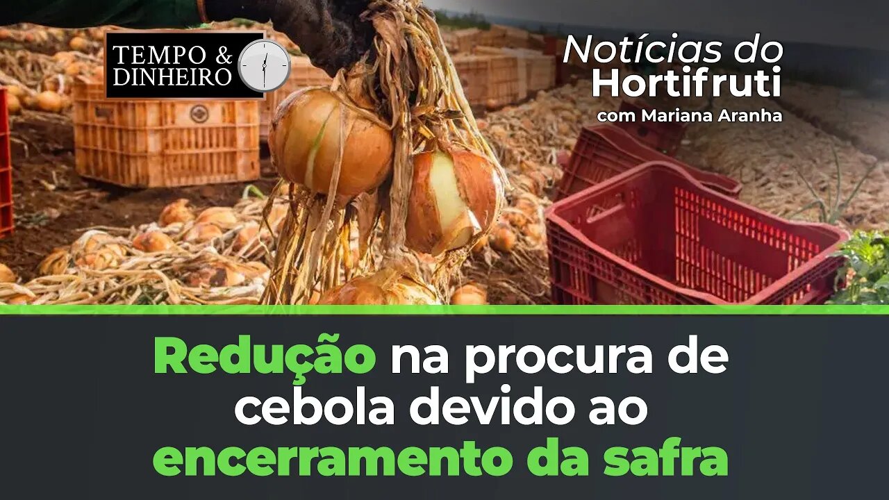 Encerramento da safra reduz procura pela cebola em Santa Catarina, preço cai.