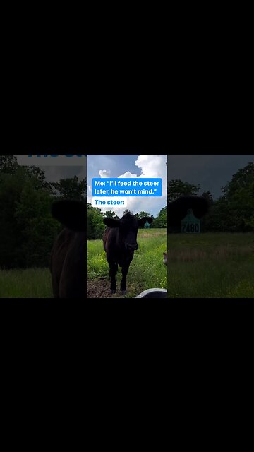 He Did, In Fact, Mind #shorts