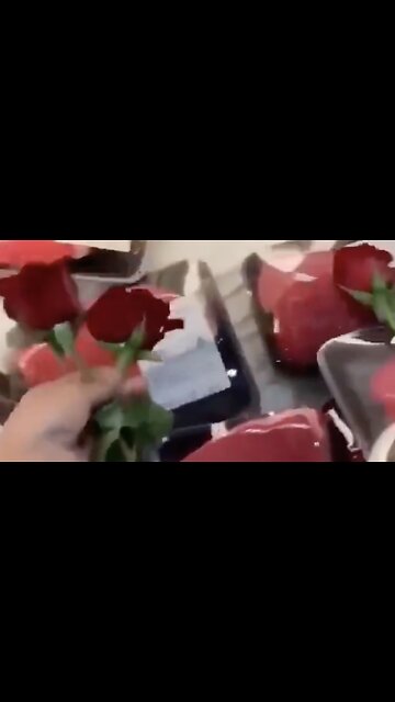 Presented Without Comment: Vegans