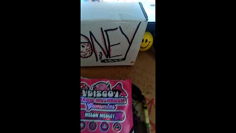 Disco magic mushroom gummies review intro