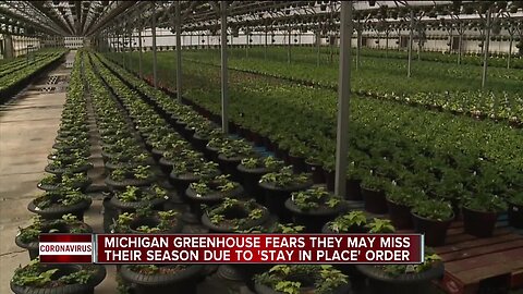 Michigan Greenhouse fears they may miss their season due to 'stay in place' order