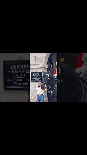Still holding the reins new next to her #horseguardsparade