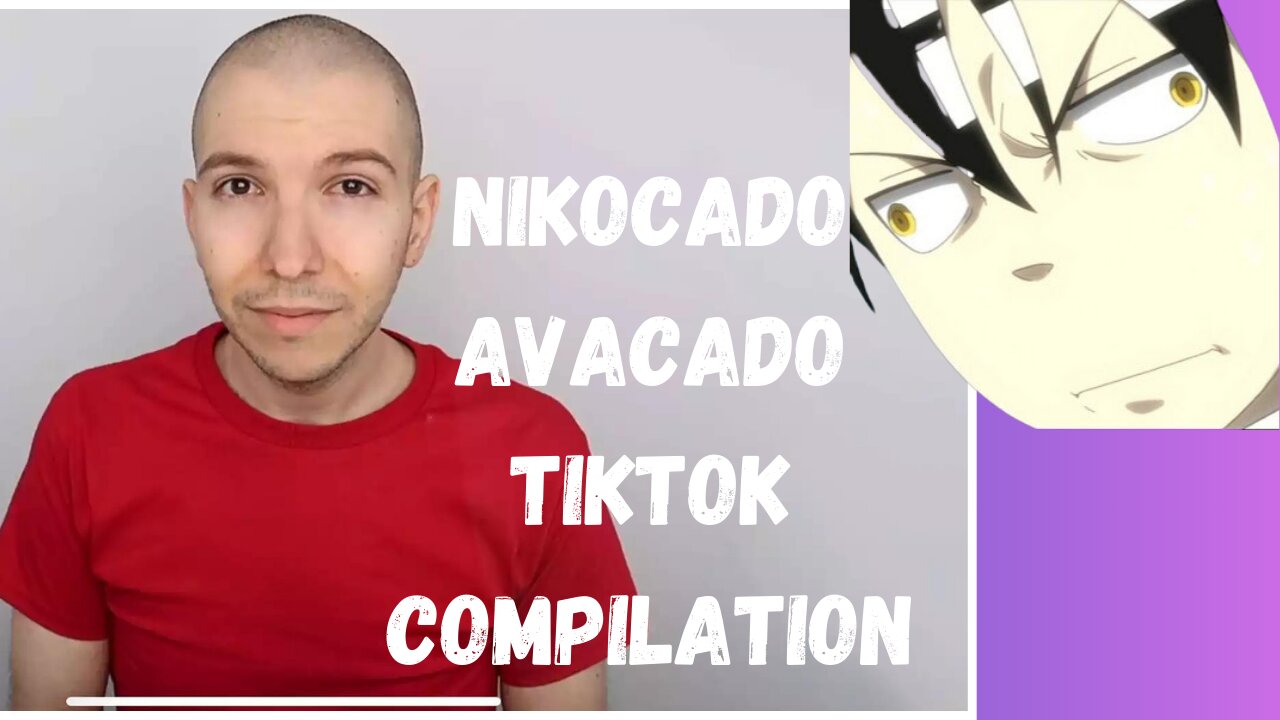 Nikocado Avocado's Drastic Weight Loss | Viral TikTok Compilation